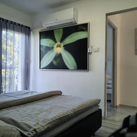 Vakantiehuis Grand Alba Zsory